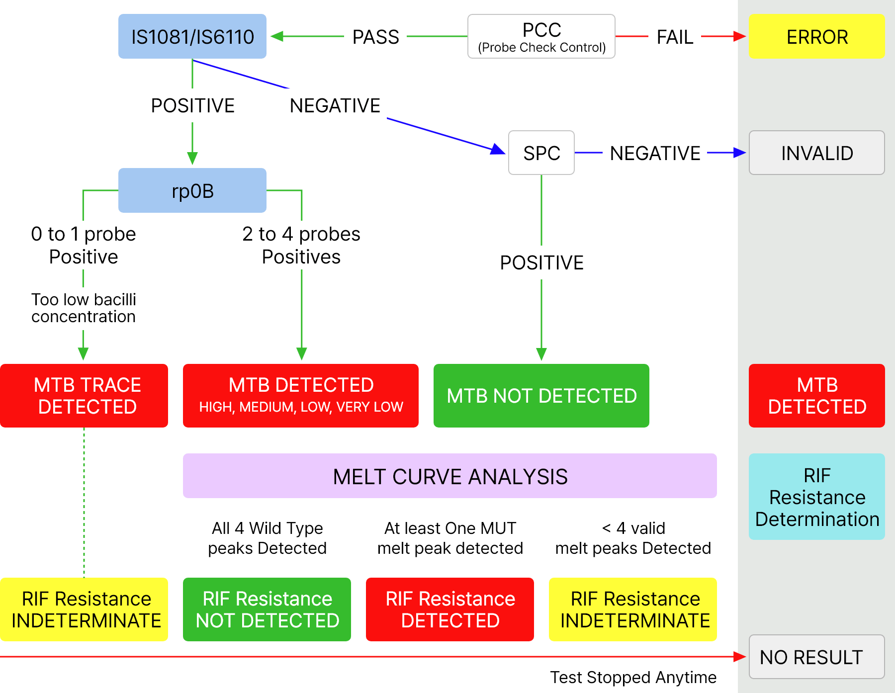 Xpert MTB/RIF 검사 세포이미지 
